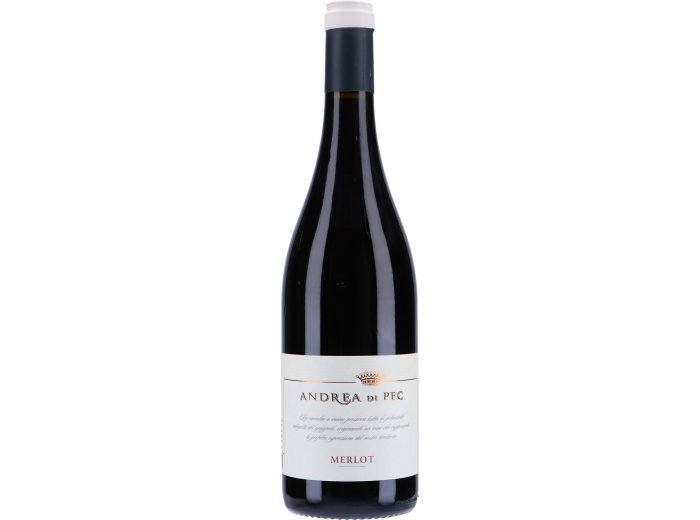* Merlot 2020 IGT Andrea di Pec 6 x 75 cl. Kt