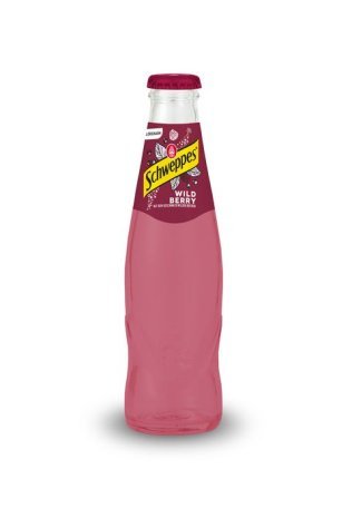 Schweppes Russian Wild Berry 20cl MW 30 x 0.20l