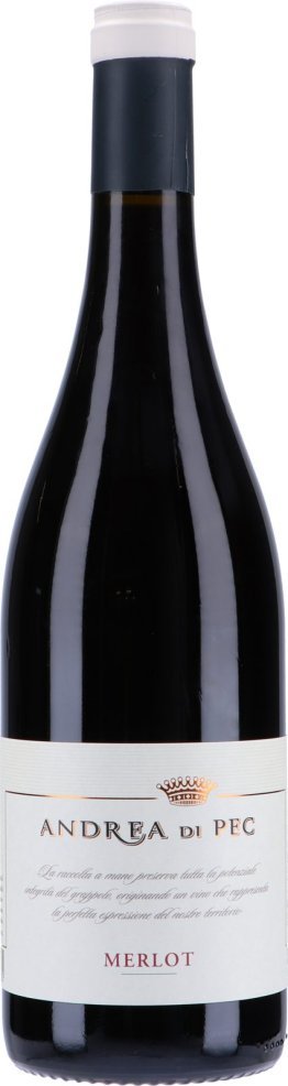 * Merlot 2020 IGT Andrea di Pec 6 x 75 cl. Kt
