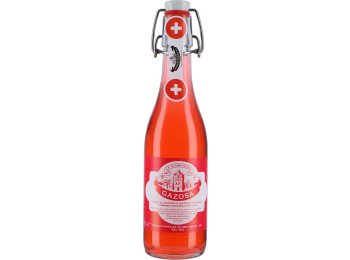 Gazosa La Fiorenzana Himbeere 35 cl MW 20 x 0.35l