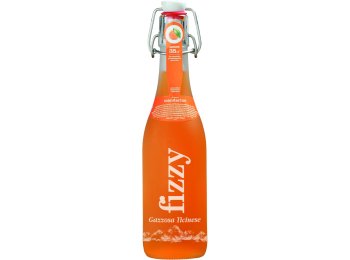 * Gazzosa Fizzy Mandarino MW Büg. 20 x 0.35l