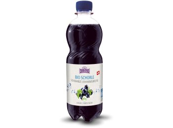 Holderhof Cassisschorle Bio 12 x 0.50l Kt.