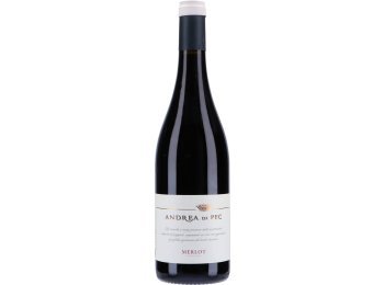 * Merlot 2020 IGT Andrea di Pec 6 x 75 cl. Kt